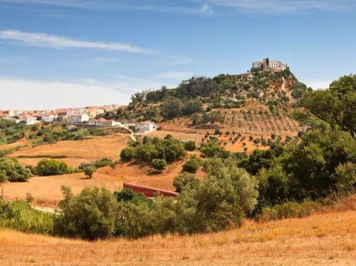 Evora and Palmela Full-Day Private Tour from Lisbon with Wine Tasting