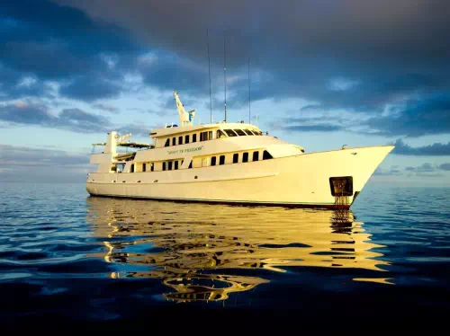 Great Barrier Reef Introductory Diving Tour with Snorkeling from Cairns