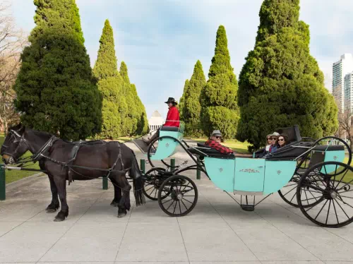 Classic Horse Carriage Tour of Melbourne Garden Highlights