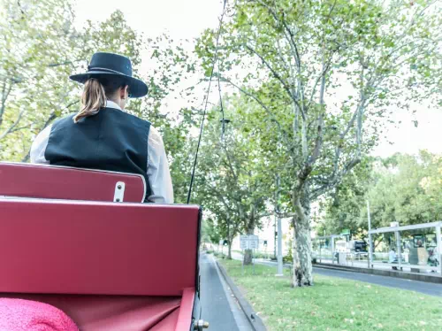 Classic Horse Carriage Tour of Melbourne Garden Highlights