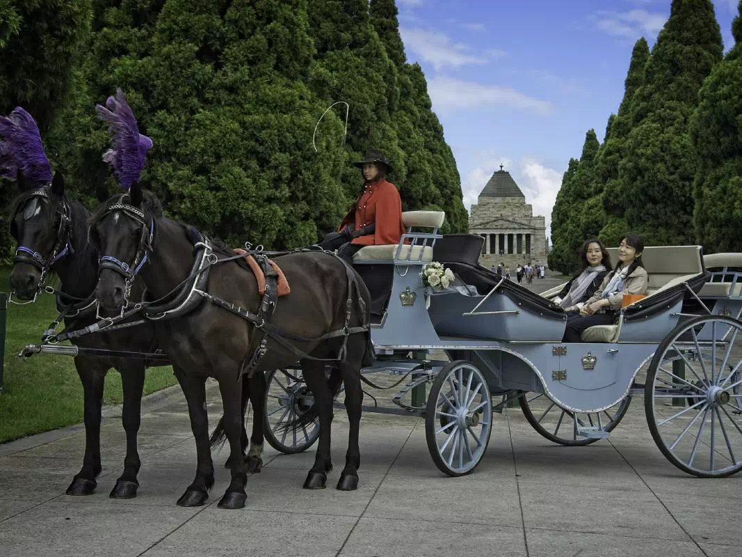 Horse-Drawn Carriage Tour of Historic Melbourne Gardens and City Highlights
