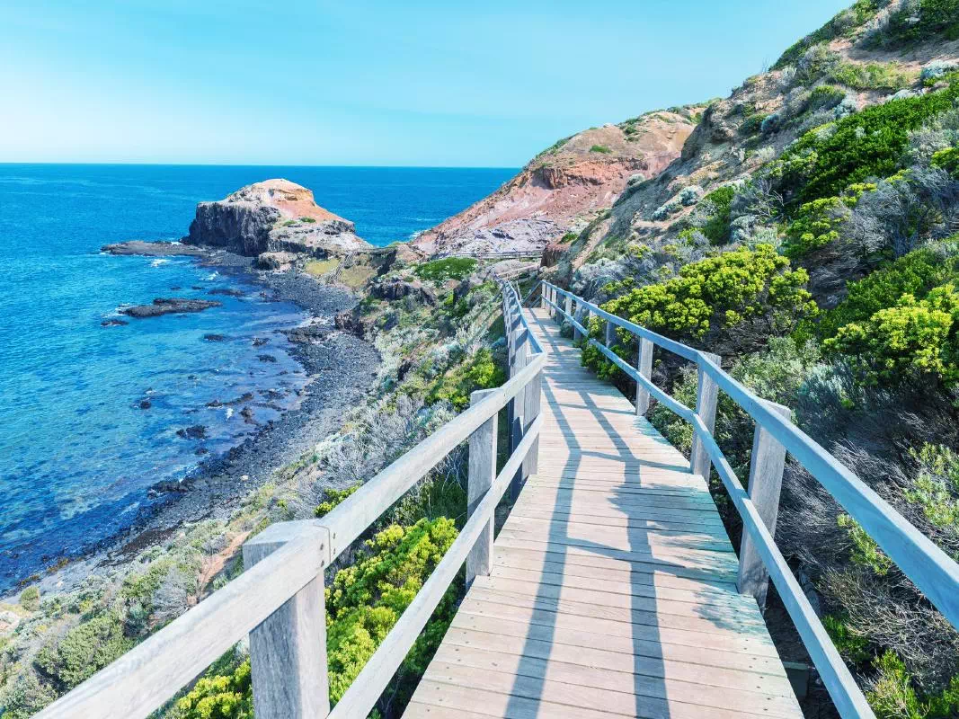 Mornington Peninsula Hiking Adventure with Yoga Experience from Melbourne