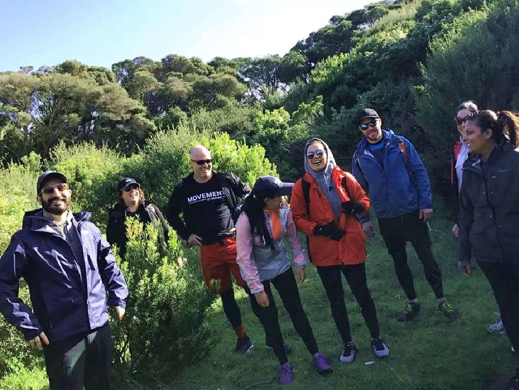 Mornington Peninsula Hiking Adventure with Yoga Experience from Melbourne