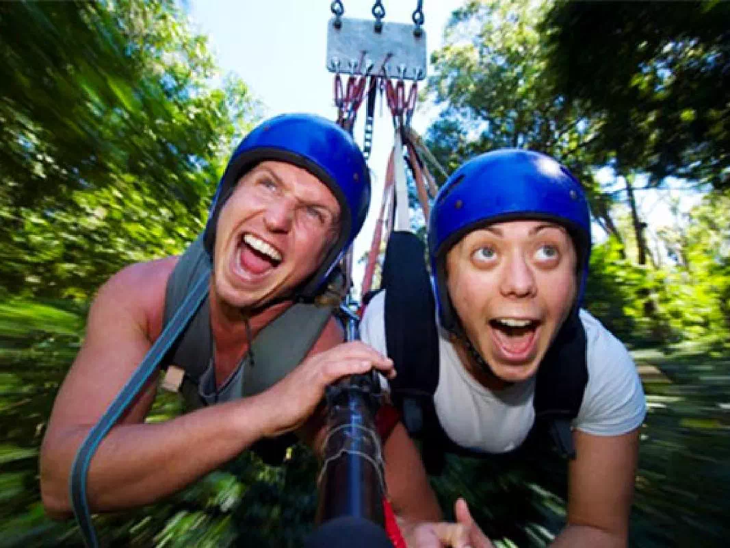 Cairns AJ Hackett Unlimited Bungy Jump and One Giant Jungle Swing Combo