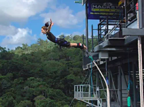Cairns AJ Hackett Unlimited Bungy Jump and One Giant Jungle Swing Combo
