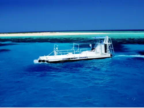 Introductory Great Barrier Reef Scuba Diving in Michaelmas Cay