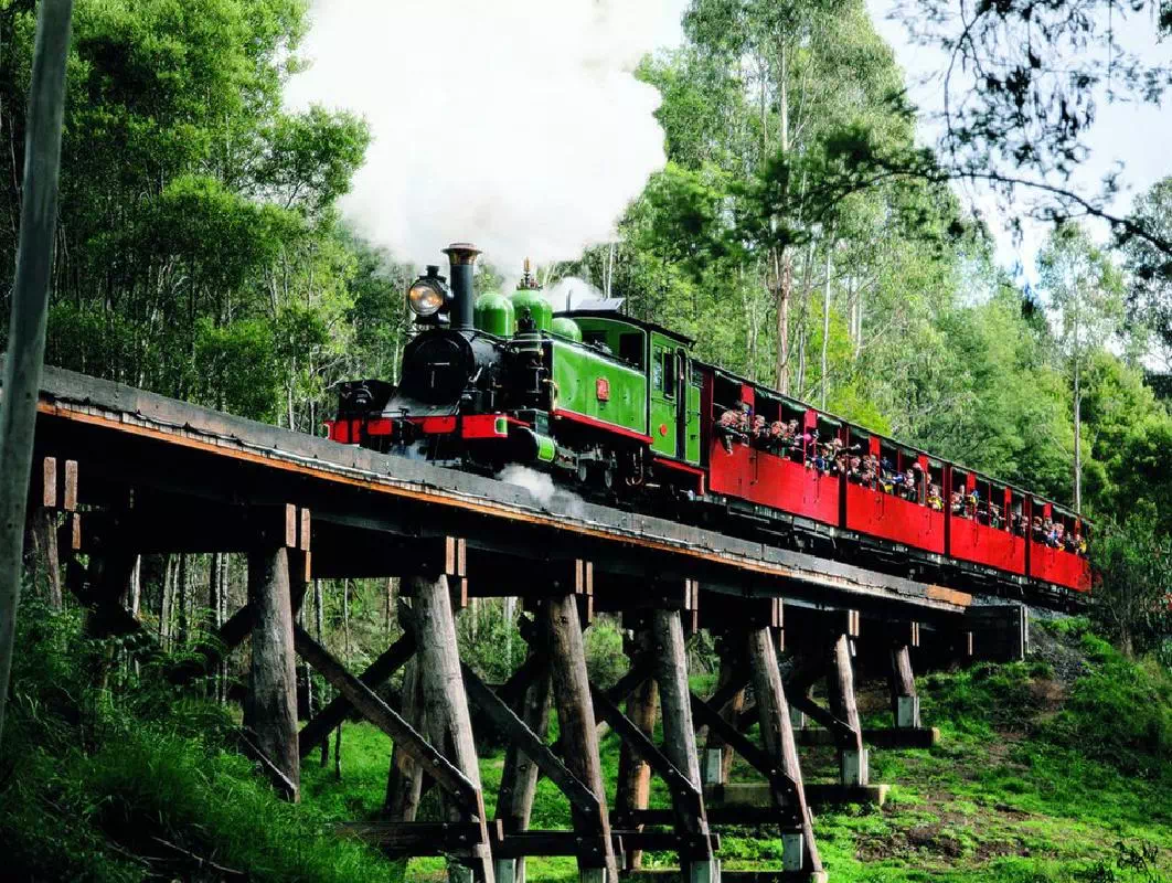 Puffing Billy Steam Train with Healesville Wildlife Sanctuary and Lunch