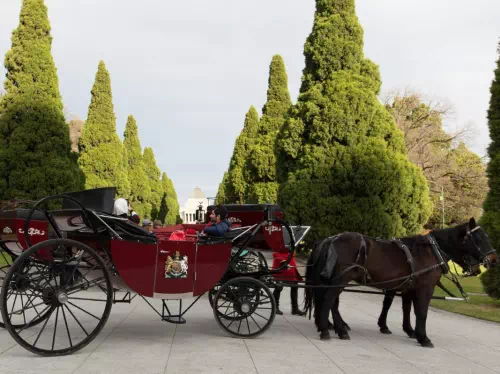 Melbourne Highlights Horse-Drawn Carriage Private Tour