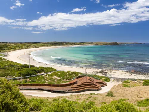 Full Day Phillip Island and Penguin Parade Tour with Wildlife Park Visit