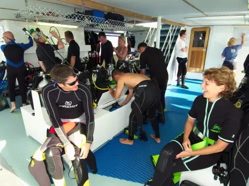 Great Barrier Reef Certified Diving Tour with Snorkeling from Cairns