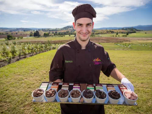 Yarra Valley Wine Tasting and Gourmet Food Tour from Melbourne