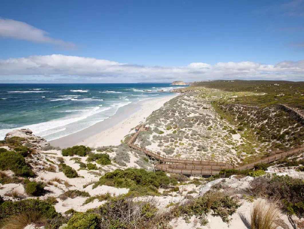 Kangaroo Island Cruise and Tour with Wildlife Encounters from Adelaide