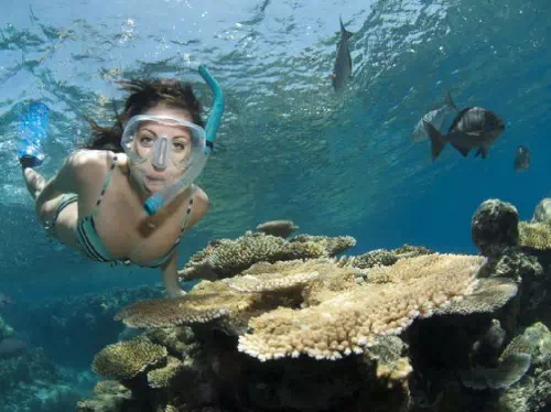 SeaQuest Great Barrier Reef Snorkeling Adventure from Cairns