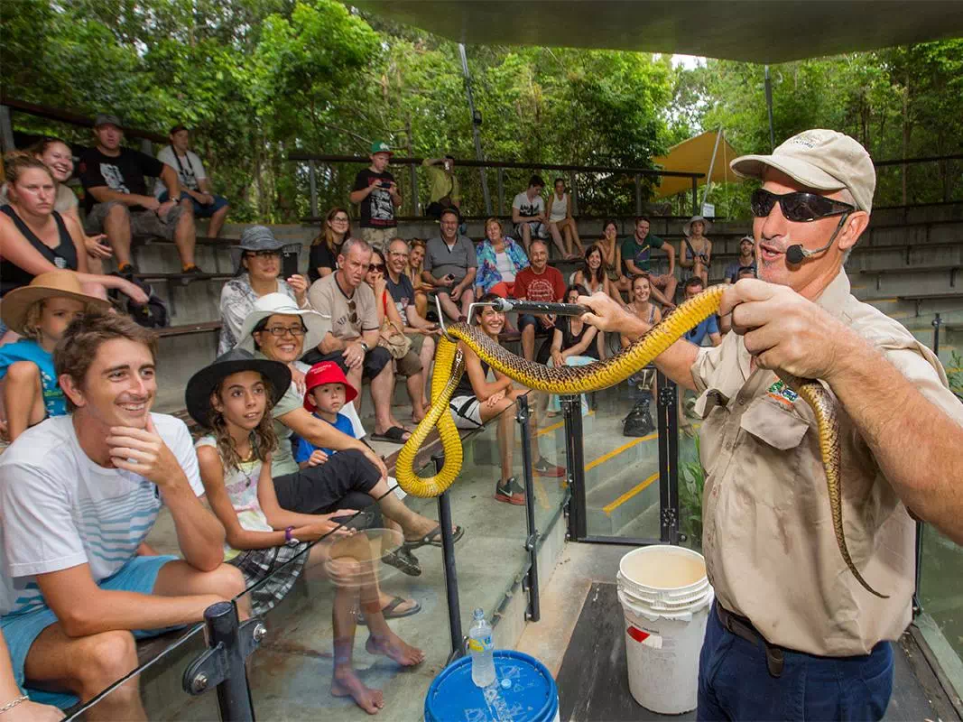 Cairns Hartley's Crocodile Adventures and Zootastic 5 Experience