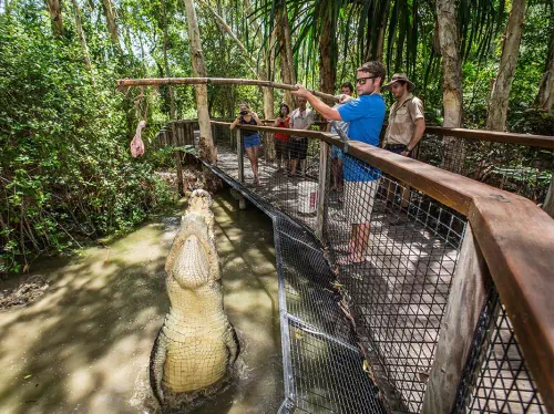 Cairns Hartley's Crocodile Adventures and Zootastic 5 Experience