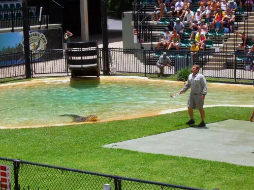 Australia Zoo Entry with Croc Express Coach Transfers from Brisbane