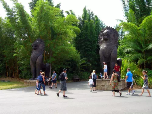Australia Zoo Entry with Croc Express Coach Transfers from Brisbane