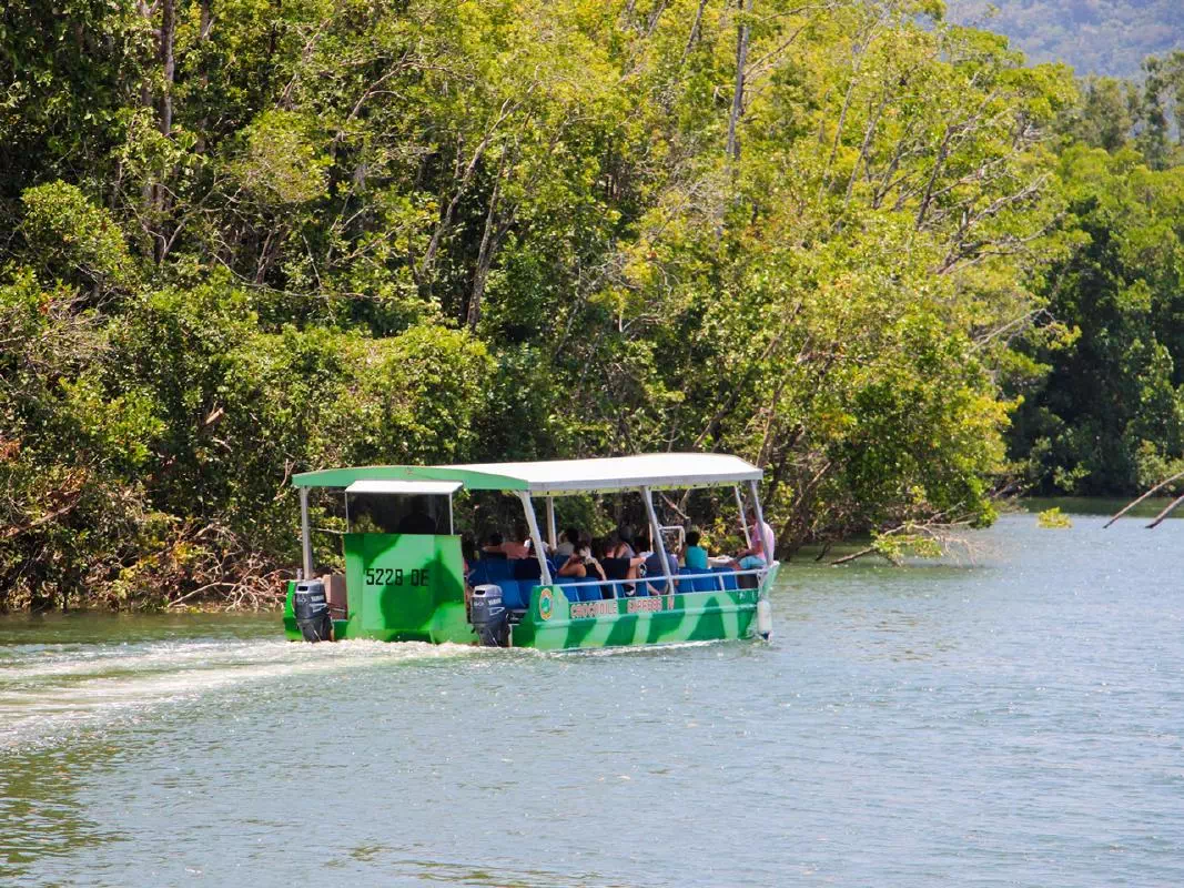 Cape Tribulation and Daintree Wilderness Full Day Tour with Jungle Surfing