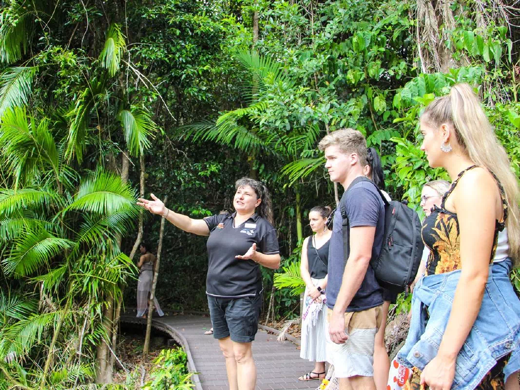 Cape Tribulation and Daintree Tour with Jungle Surfing Zipline Experience