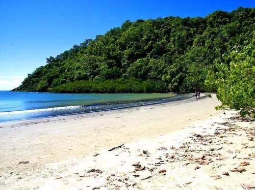 Cape Tribulation and Daintree Tour with Jungle Surfing Zipline Experience