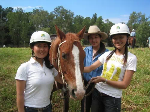 Horseback Riding and ATV Quad Bike Ride Combo Tour from Cairns