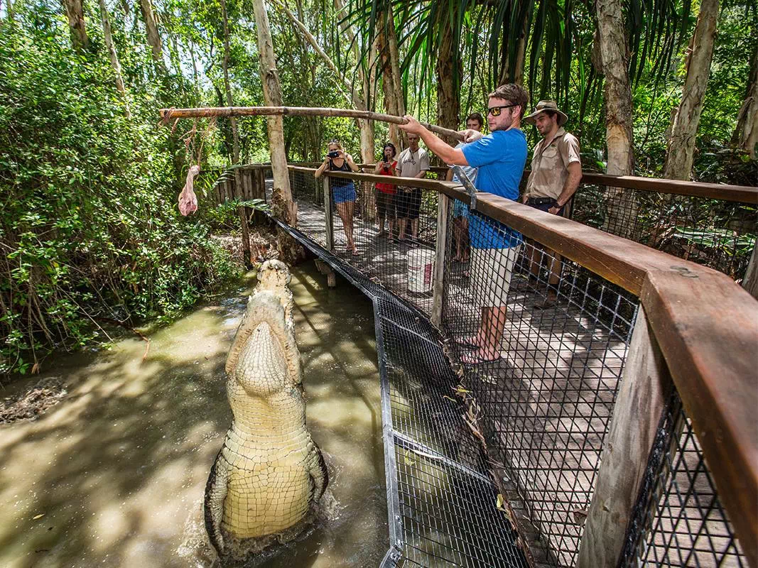 Hartley’s Crocodile Adventures & Tjapukai Aboriginal Cultural Park Combined Tour
