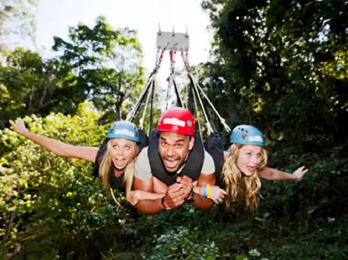 AJ Hackett Giant Jungle Swing Experience with Hotel Pick-up