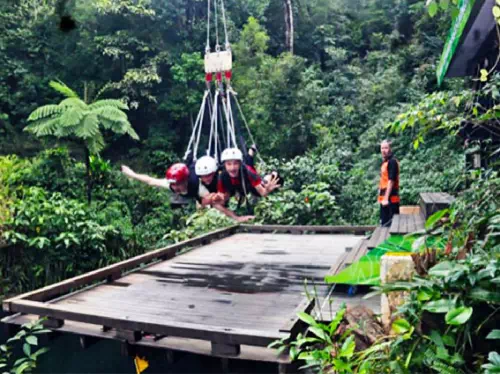 AJ Hackett Giant Jungle Swing Experience with Hotel Pick-up