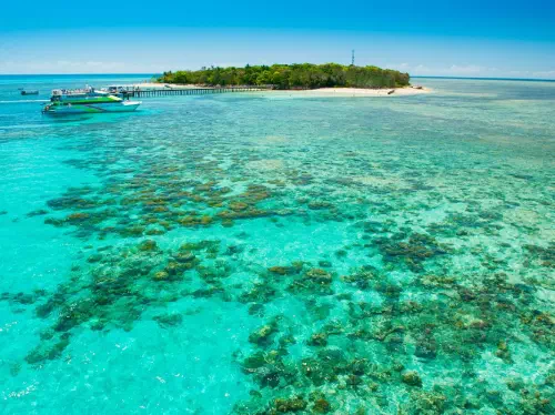 Green Island Morning Tour from Cairns with Snorkeling or Glass Bottom Boat
