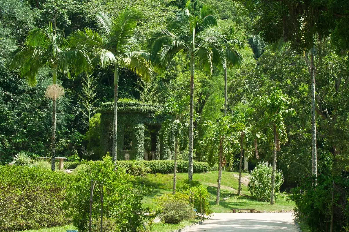 Tijuca Forest Jeep Tour with Optional Botanical Garden Visit