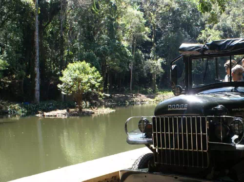 Tijuca Forest Jeep Tour with Optional Botanical Garden Visit