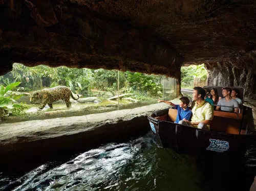 Singapore River Safari and Night Safari Tour with Hotel Transfers
