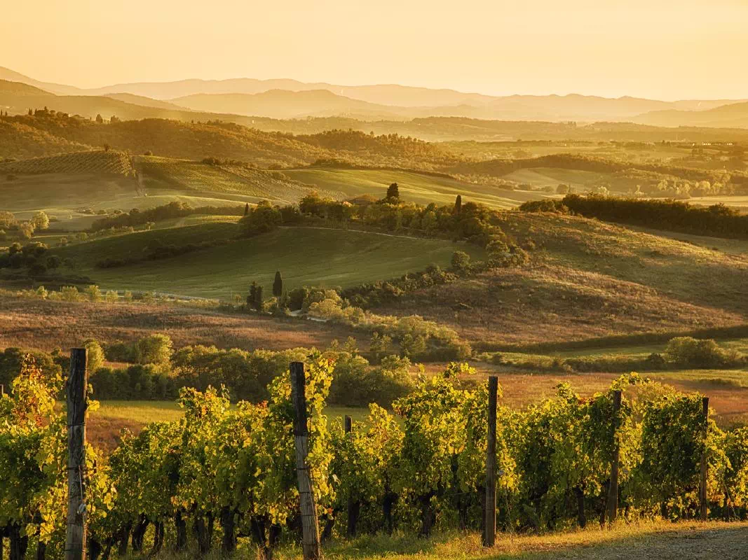 Chianti Hills Sunset Tour from Florence by Fiat 500 with Wine and Food Tasting