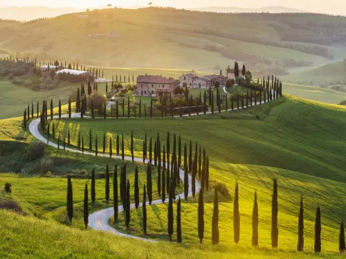 Small Group Tuscany Wine Tour from Florence and Off-Road Chianti Hills Adventure