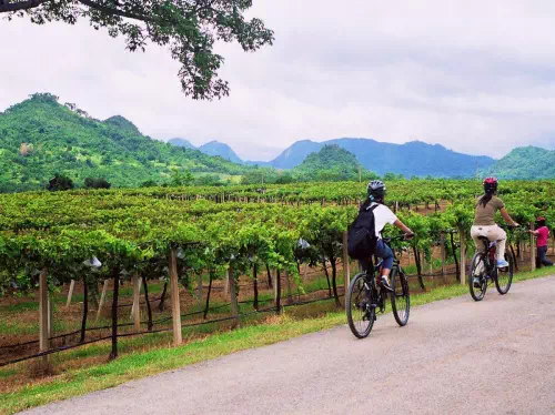 Khao Yai Wine Trails Overnight Cycling Tour from Bangkok with Wine Tasting