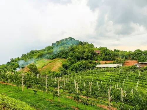 Khao Yai Wine Trails Overnight Cycling Tour from Bangkok with Wine Tasting