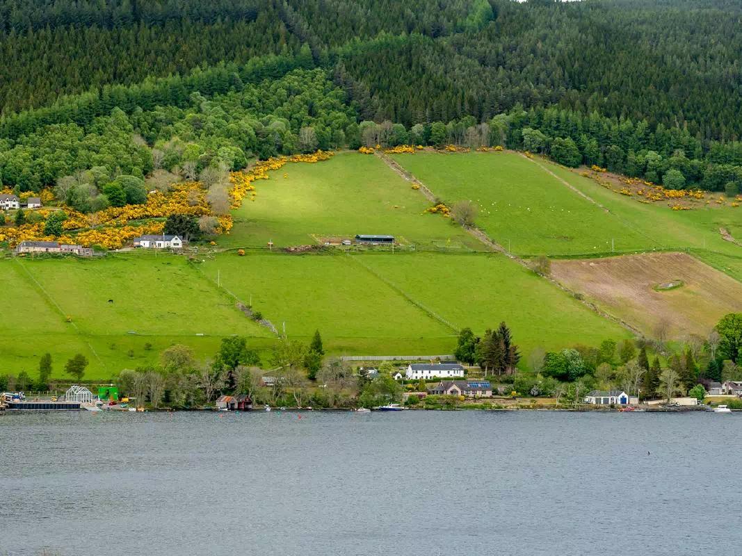 Loch Ness, Beauly, Cromarty and Moray Firth One Day Tour from Inverness