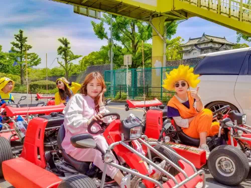 Osaka Go-Kart Adventure with Character Costume Rental in Nipponbashi