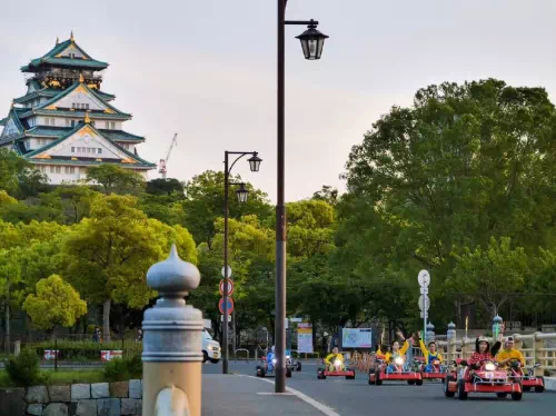 Osaka Go-Kart Adventure with Character Costume Rental in Nipponbashi