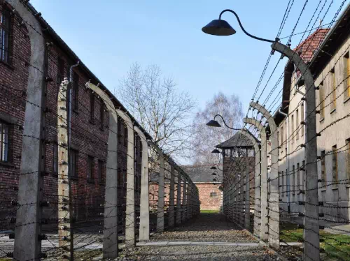 Auschwitz and Birkenau Concentration Camp and Museum Day Tour from Krakow