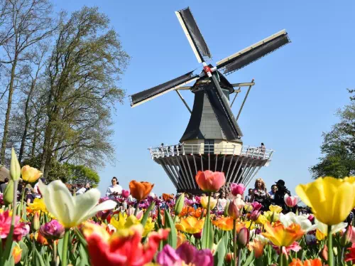 Keukenhof Gardens and Flowerfields Small Group Tour with Hotel Pick-Up