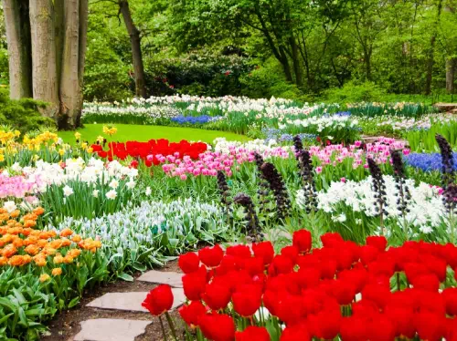 Keukenhof Gardens and Flowerfields Small Group Tour with Hotel Pick-Up