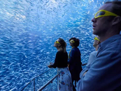 New York National Geographic Encounter: Ocean Odyssey Admission Ticket