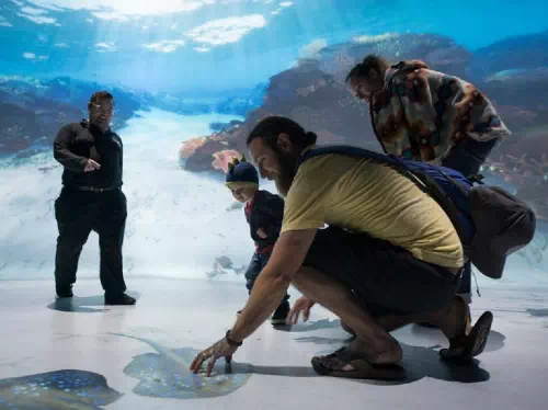 New York National Geographic Encounter: Ocean Odyssey Admission Ticket