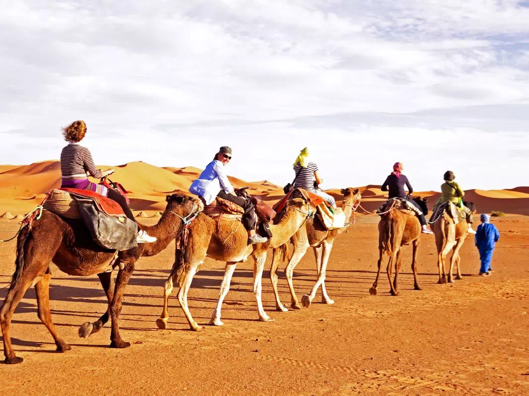 Morning Dubai Desert Safari and Camel Farm Tour