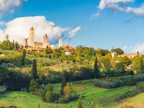 Tuscany from Rome Semi-Private Wine Tour and Food Tasting with Hotel Pickup