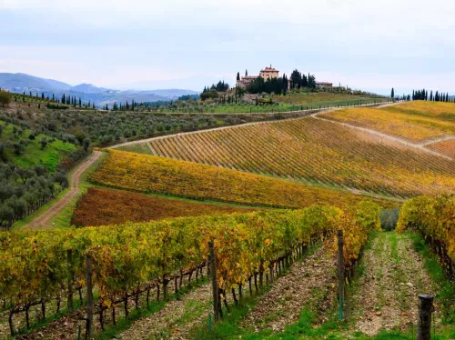 Tuscany from Rome Semi-Private Wine Tour and Food Tasting with Hotel Pickup