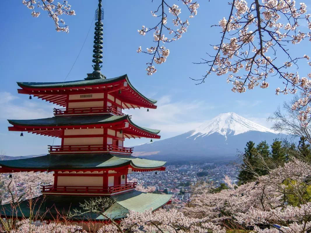 Private Mt. Fuji Tour from Tokyo with Arakura Sengen Shrine & Fuji Five Lakes