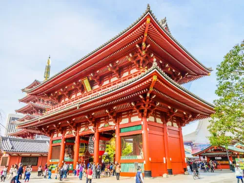 Tokyo 1-Day Private Tour from Yokohama Port with Customizable Itinerary