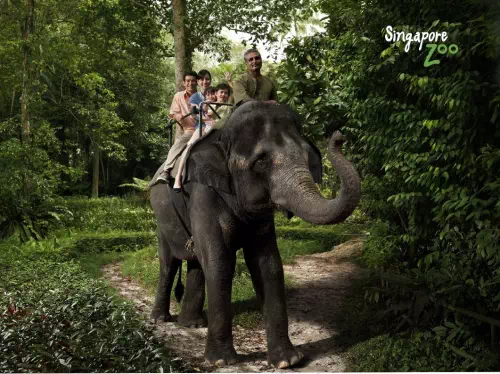 Singapore Zoo Morning Tour with Optional Jungle Breakfast